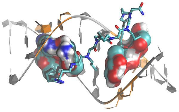 molecule